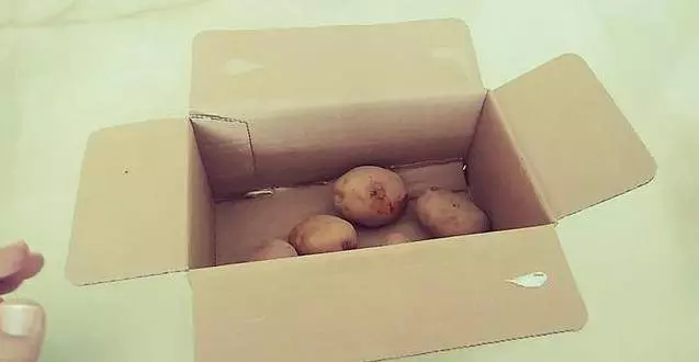 土豆吃不完容易發芽變青?教你這樣保存,能新鮮的時間更久,而且不發芽