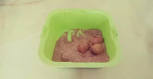 土豆吃不完容易發芽變青?教你這樣保存,能新鮮的時間更久,而且不發芽