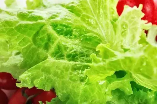 土豆吃不完容易發芽變青?教你這樣保存,能新鮮的時間更久,而且不發芽