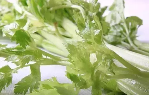 土豆吃不完容易發芽變青?教你這樣保存,能新鮮的時間更久,而且不發芽