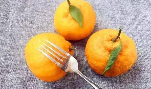 土豆吃不完容易發芽變青?教你這樣保存,能新鮮的時間更久,而且不發芽