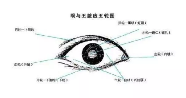 中醫眼科:目與五臟六腑之關係及三神三真理論