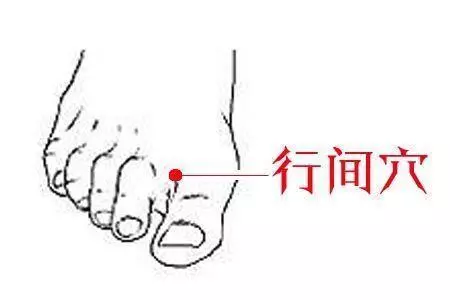 每天按按這些穴位,能幫你通經絡、排肝毒、養腎!