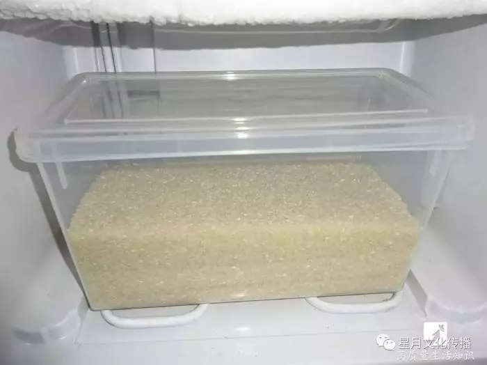【 專家過招教你消滅米蟲 】家裡的米總是長出一堆米蟲? 不妨試試這些天然的滅蟲方法吧