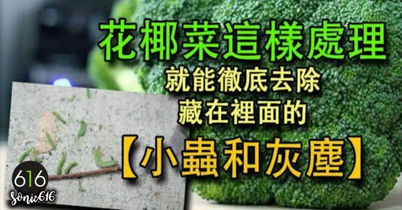 「花椰菜」裡面藏著很多「小蟲和灰塵」,只要用「這一招」,就能快速洗乾淨