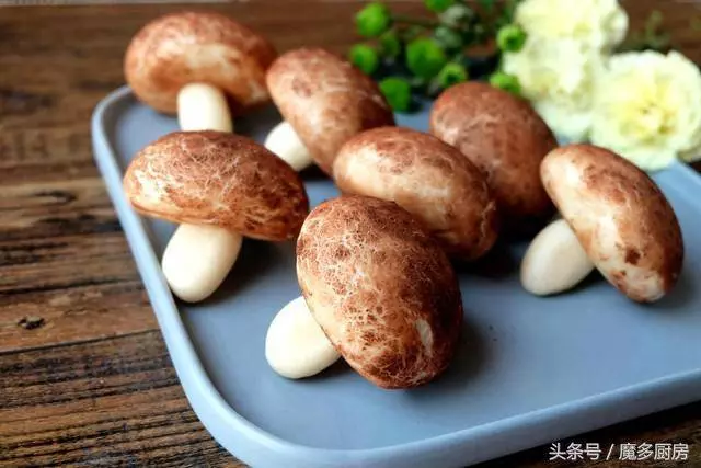 媽媽做的饅頭太可愛,孩子看了嘴巴都合不上了,捨不得吃怎麼辦?