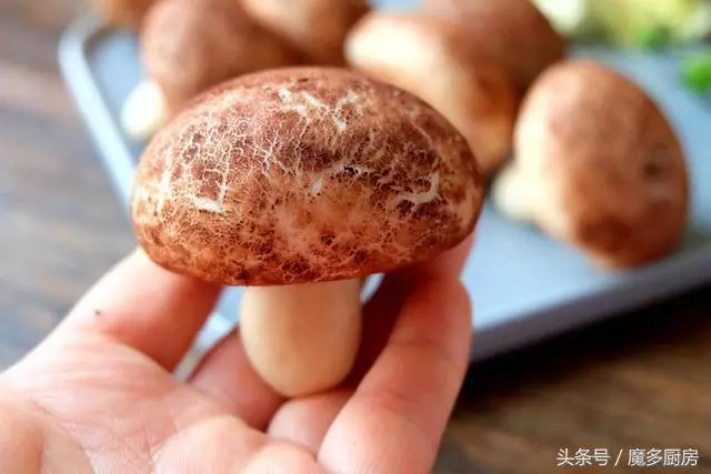 媽媽做的饅頭太可愛,孩子看了嘴巴都合不上了,捨不得吃怎麼辦?