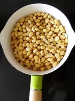 Famaosinmalaysia - 喜歡吃天貝(Tempeh)的你,現在教你一種自製天貝正宗做法步驟,學起來吧