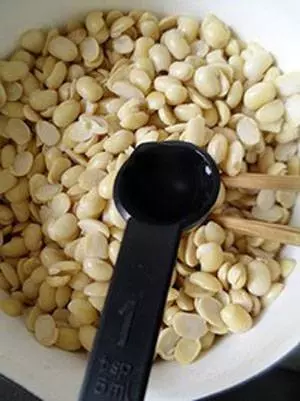 Famaosinmalaysia - 喜歡吃天貝(Tempeh)的你,現在教你一種自製天貝正宗做法步驟,學起來吧