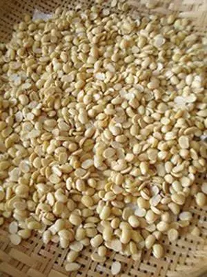 Famaosinmalaysia - 喜歡吃天貝(Tempeh)的你,現在教你一種自製天貝正宗做法步驟,學起來吧