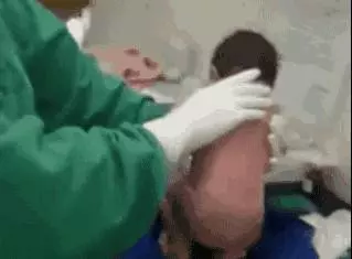 22個看起來很正經 但其實在說幹話的超酷幹話語錄#5從出生開始我們就已經有100%的死亡機率了