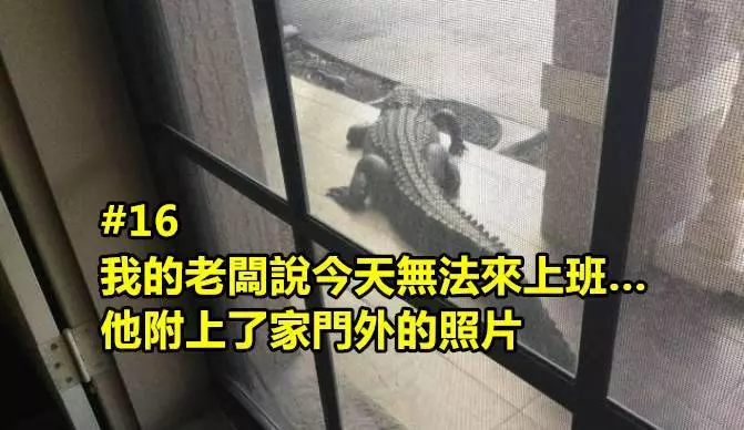 36張讓你過得更新鮮的超奇特照片 #5哪只鳥比較小 XD