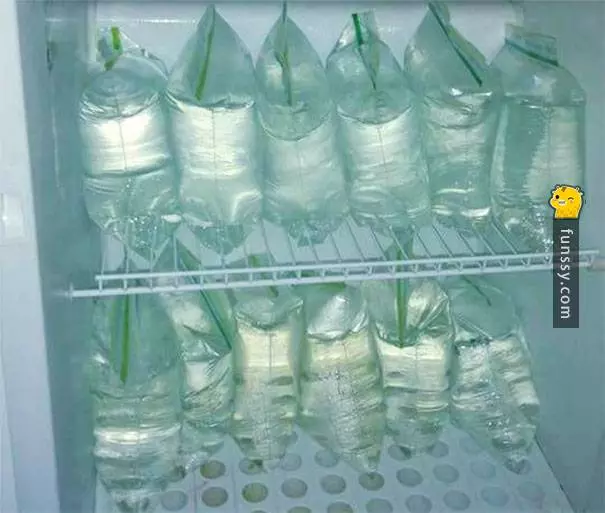 20個看似有道理但千萬別學的「生活絕技」 #3這樣就不用擔心被開票啦