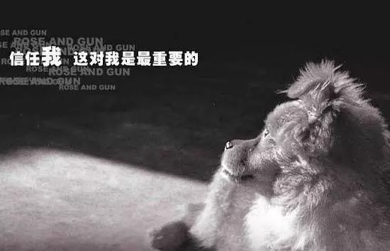 養狗的7大禁忌,主人要知道!
