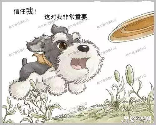 狗狗的一輩子,飼主都該看完
