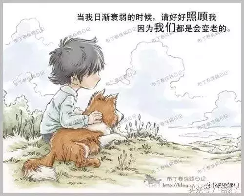 狗狗的一輩子,飼主都該看完