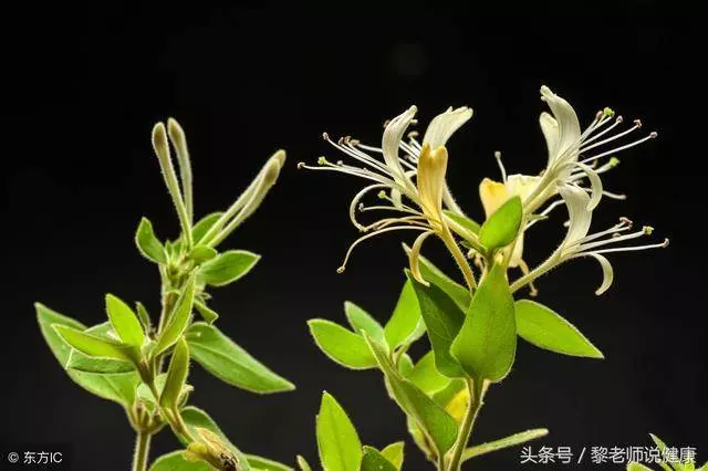 老年斑是怎麼形成的?治療老年斑有妙方
