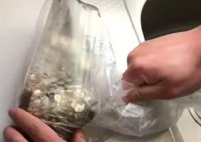 刮魚鱗【不飛濺不髒手】的訣竅,只要一個塑膠袋,1分鐘就能去掉魚鱗,太實用!