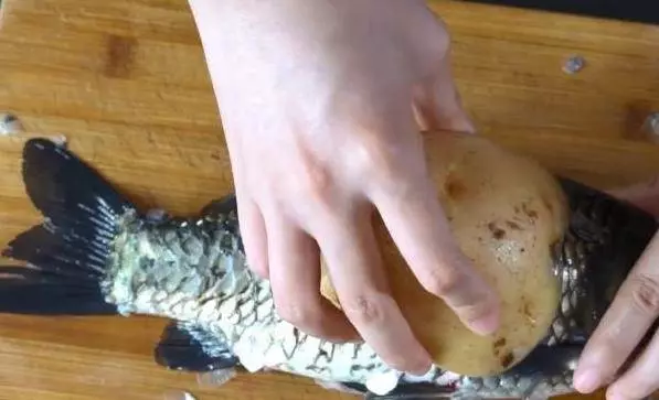 刮魚鱗【不飛濺不髒手】的訣竅,只要一個塑膠袋,1分鐘就能去掉魚鱗,太實用!