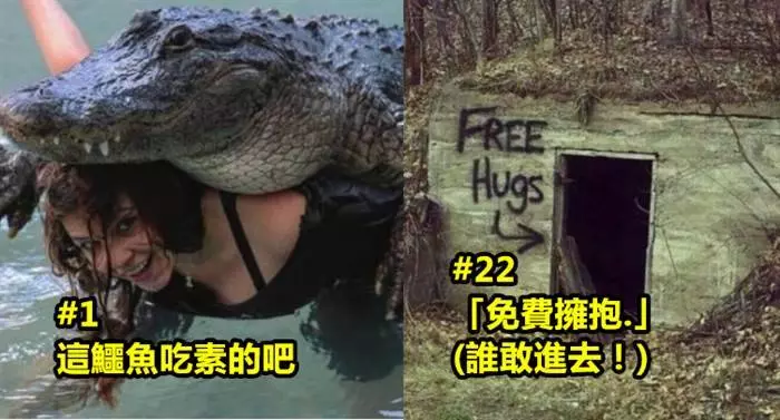 33張會讓你心跳加速十倍的超危險生活照 #1這鱷魚吃素的吧?