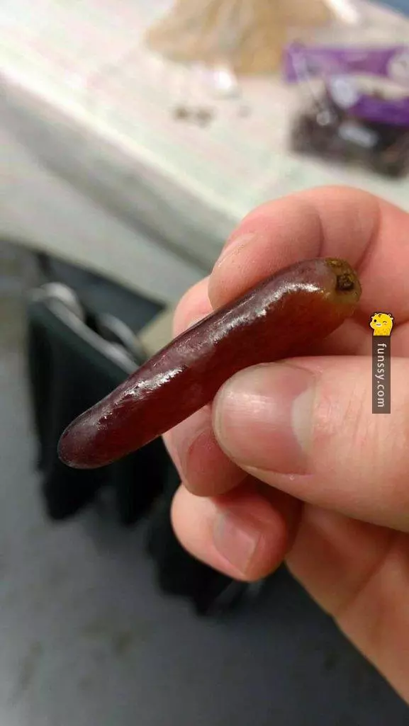 22個你這輩子超想見到的超特別食物 #2紅蘿蔔形狀的檸檬