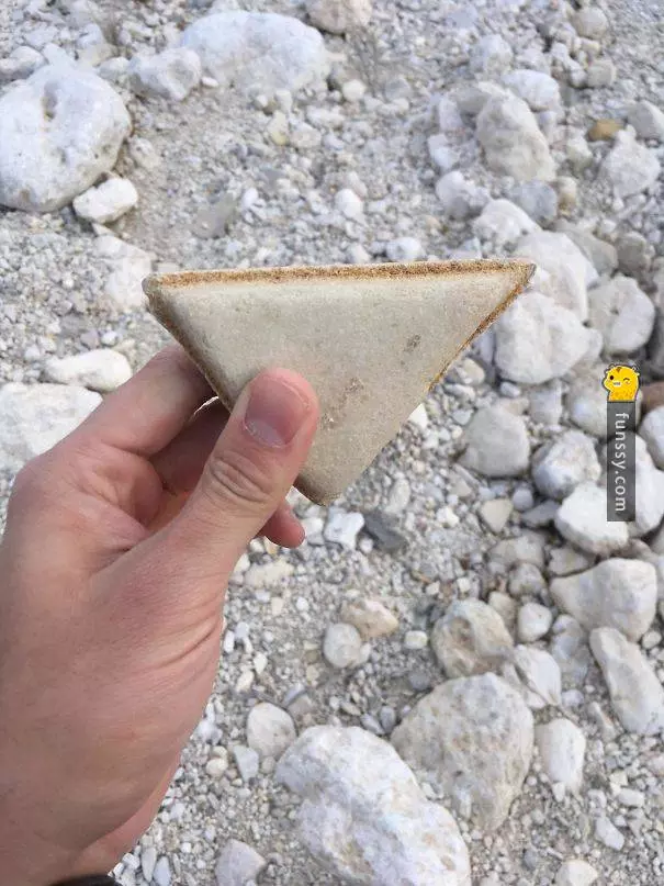20個看起來像 但不是食物的東西~~~ #3 這塊鮪魚看起來好像牙膏