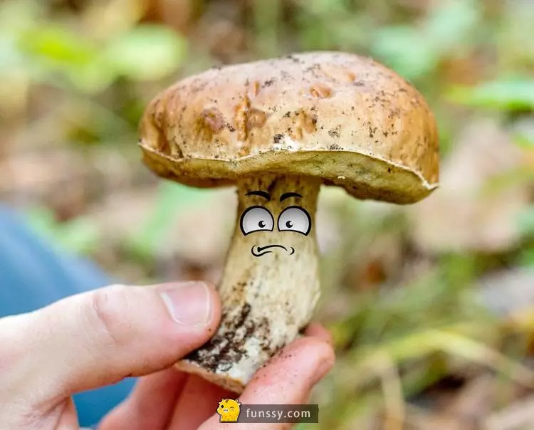 12個只有在網絡上你才能看得到的超神奇冷知識~~~3 火車比腳踏車早16年發明出來
