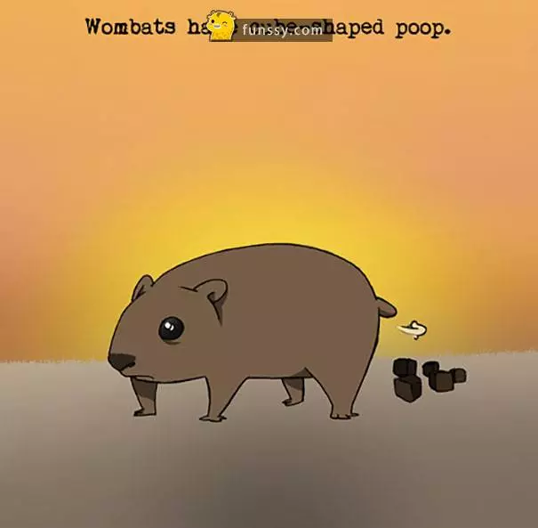 關於動物的18件奇妙事實~~~#2 目前世界上的海域只有不到10%被探索