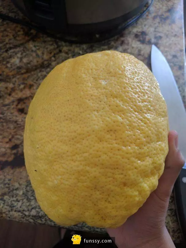 10個網友拆開包裝後才驚覺自己中了「食物樂透」啊#6 好像芭雷舞裙的草莓