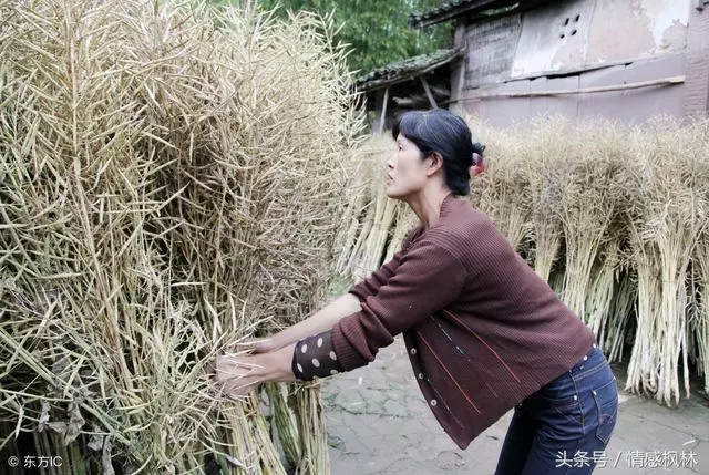 老婆打工一年沒回家,每月寄我8000,我心不安偷偷進城來,眼前一幕我哭著大罵她