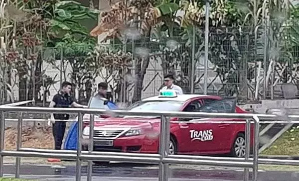 天天追看10小時電視節目 德士司機猝死