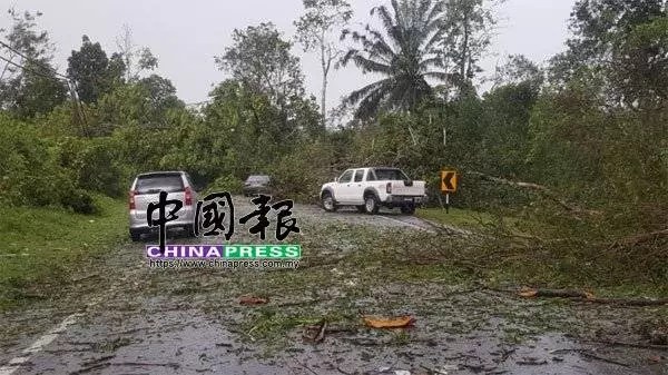 午後狂風暴雨 烏雪多區樹倒 交通中斷