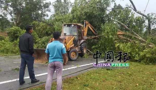 午後狂風暴雨 烏雪多區樹倒 交通中斷