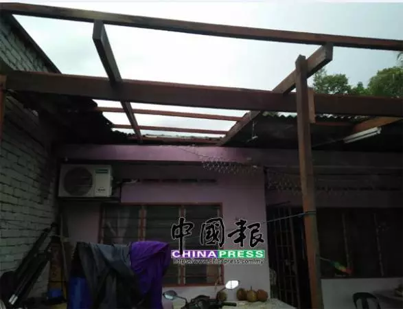午後狂風暴雨 烏雪多區樹倒 交通中斷