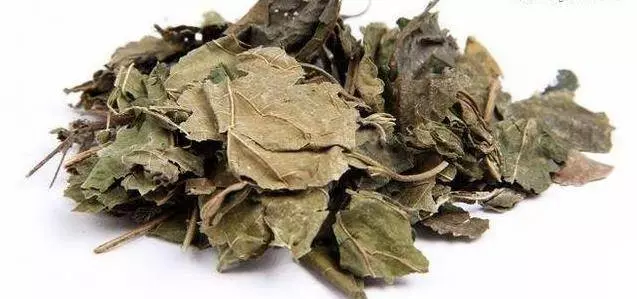 腳上出現四個跡象,暗示你的血糖太高了,教你三招,預防糖尿病!