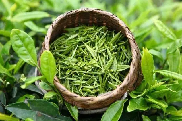 腦中風都是「吃」出來的?醫生:過了50歲,這3種食物再喜歡也要忌口,戒掉4惡習,腦血管不好的人注意!
