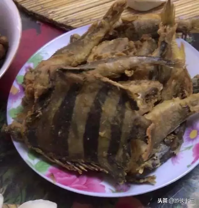 老公一夜不歸,老婆把他養了6年的魚給炸了,網友:沒了一套房