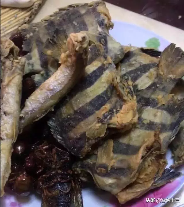 老公一夜不歸,老婆把他養了6年的魚給炸了,網友:沒了一套房