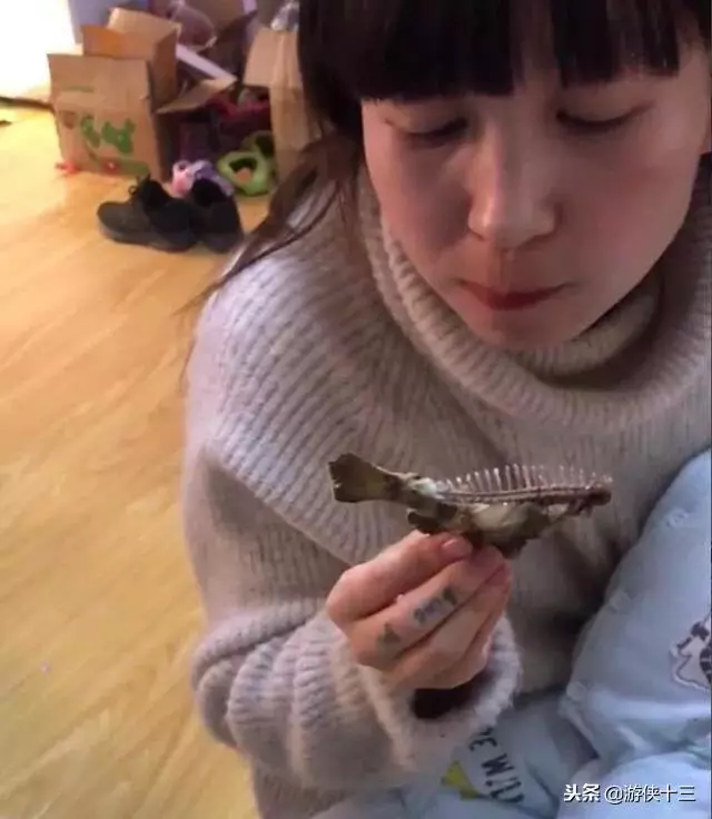 老公一夜不歸,老婆把他養了6年的魚給炸了,網友:沒了一套房
