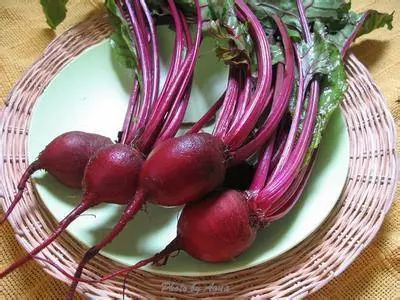 當仁不讓的補血大王,除了它還是它——「甜菜根」甜菜根汁對心血管健康好處多多,還不趕緊喝起來?