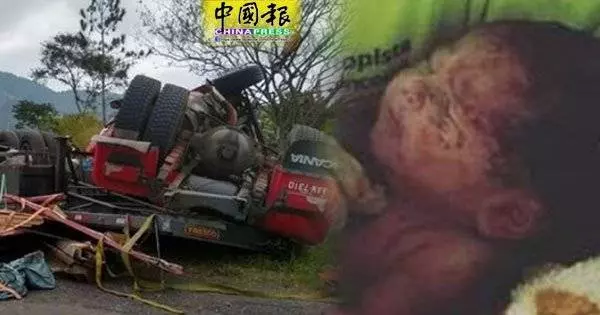 孕婦車禍拋出車外亡 腹中嬰被「擠出」奇蹟生還