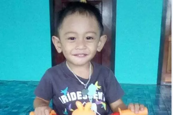 [ 大馬 ] 首宗手足口症死亡案例 砂2歲孩童不治