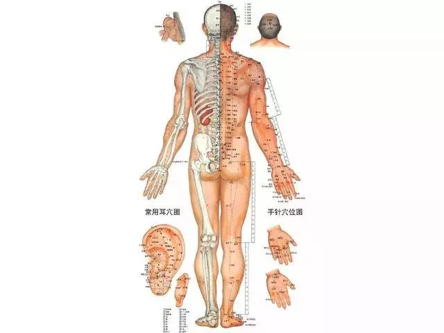 有這6個症狀說明你的經絡堵塞了難怪總生病這樣拉伸,讓氣血活起來