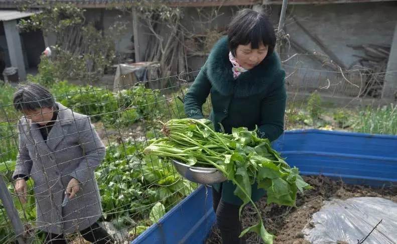 106歲老人每天把包裡的零錢數幾遍 2天一包煙~~~長壽秘訣就是愛吃兩樣東西吃荷包蛋和蔬菜 -