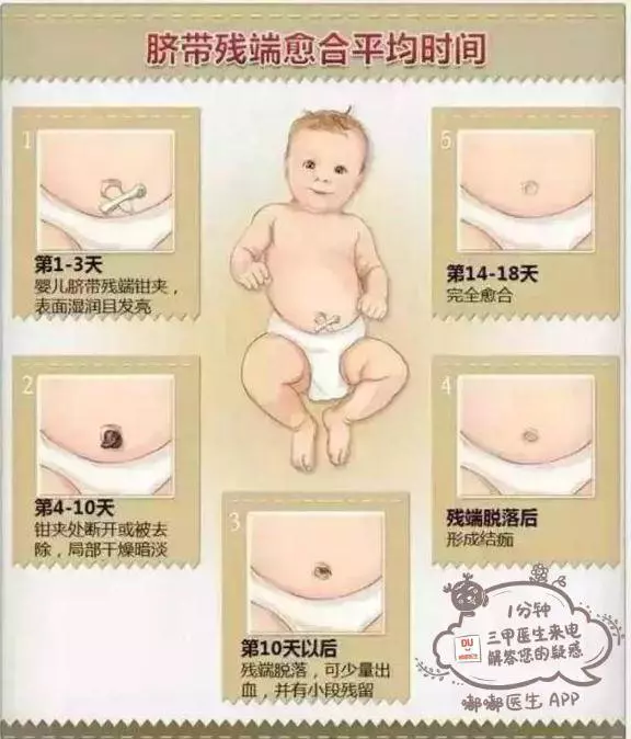 寶媽必看10張圖,60秒讀懂寶寶的各項生理指標!