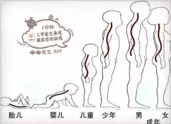 寶媽必看10張圖,60秒讀懂寶寶的各項生理指標!