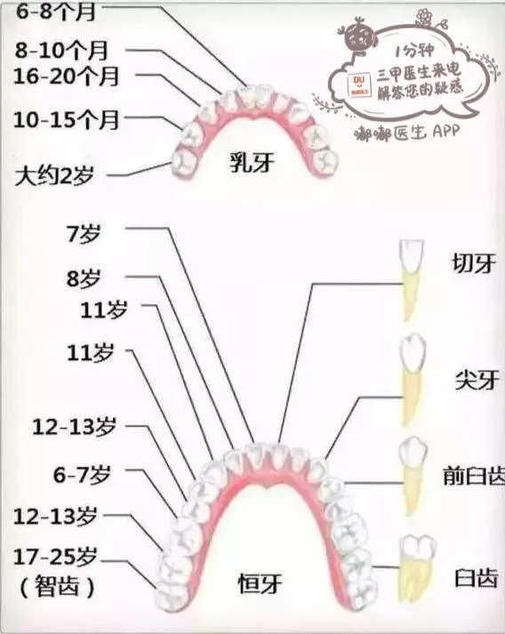 寶媽必看10張圖,60秒讀懂寶寶的各項生理指標!