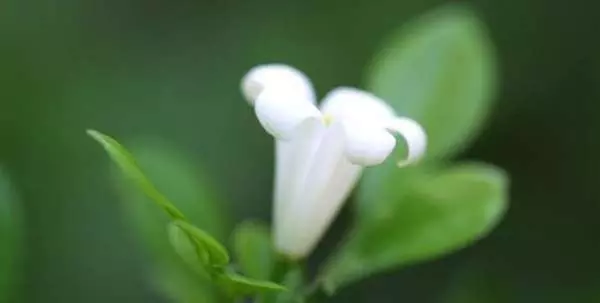 測:第一眼看到什麼圖像?測你喜歡是理性還是感性?