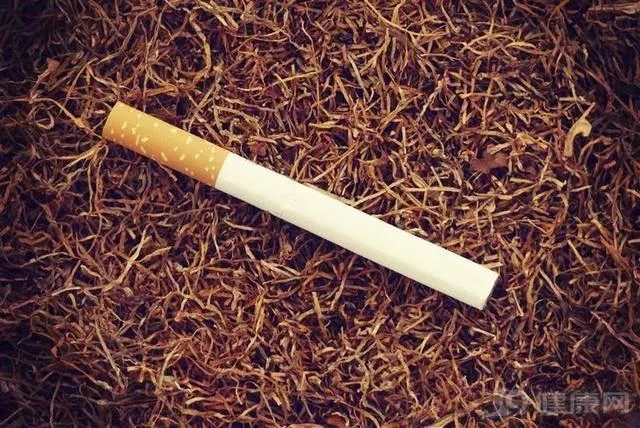 飯後有這些習慣,或許你等不來長壽了現在還可以改