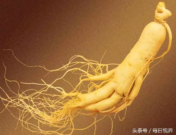 體太虛?人參補元氣,複方養氣更全面 /暑熱耗氣,中醫教你煮「生脈飲」
